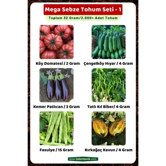 Mega Sebze Tohum Seti - 1 - Toplam 32 Gram - 2.000 Adet Sebze Tohumu