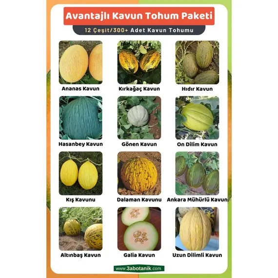 Avantajlı Kavun Tohum Paketi- 12 Çeşit Kavun Tohumu- Takribi 300 Adet Kavun Tohumu