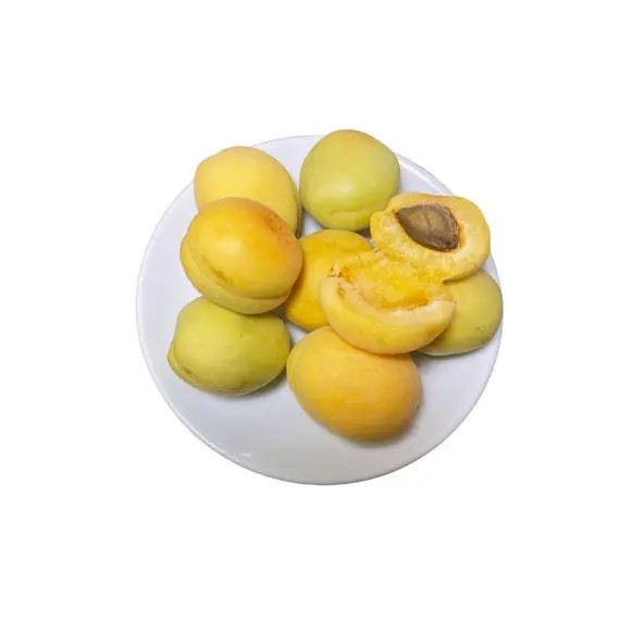 Malatya Kabaaşı Kayısı 5KG