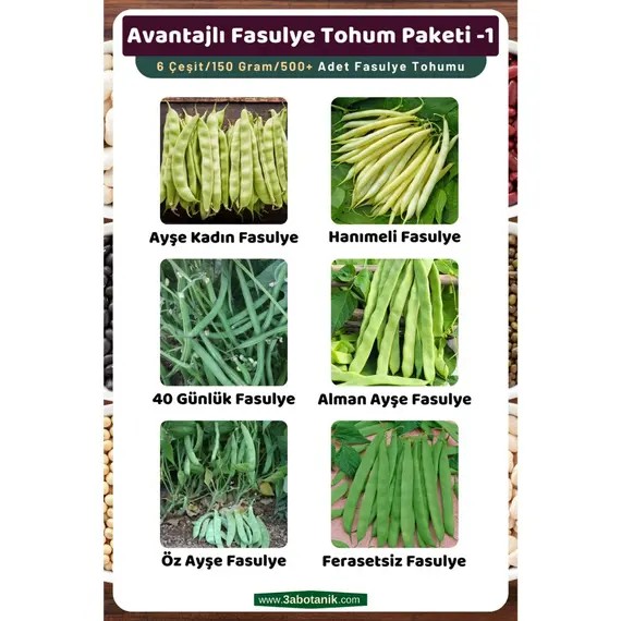 Avantajlı Fasulye Tohum Paketi-1- Toplam 6 Çeşit/150 Gram/Takribi 500 Adet Fasulye Tohumu