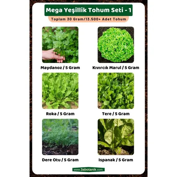 Mega Yeşillik Tohum Seti - 1- Toplam 30 Gram/13.500 Adet Yeşillik Tohumu