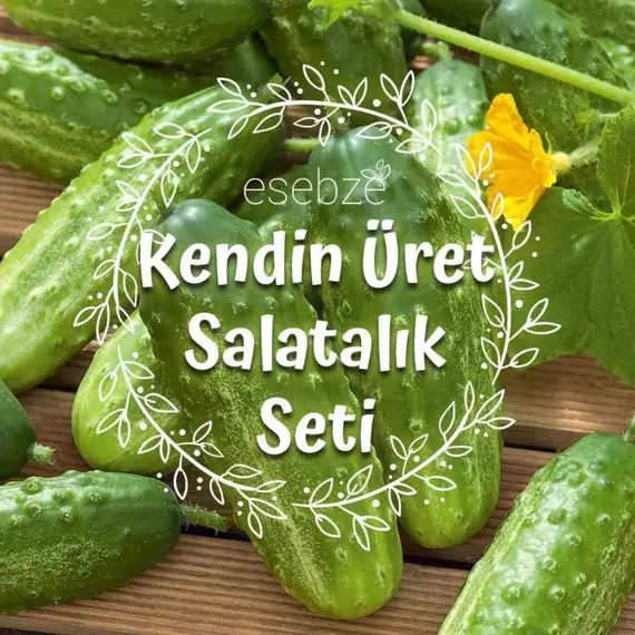 Kendin Üret Salatalık Seti