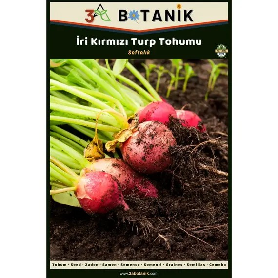 İri Kırmızı Turp Tohumu- Yerli ve Sürdürülebilir Tohum- 5 Gram Turp Tohumu