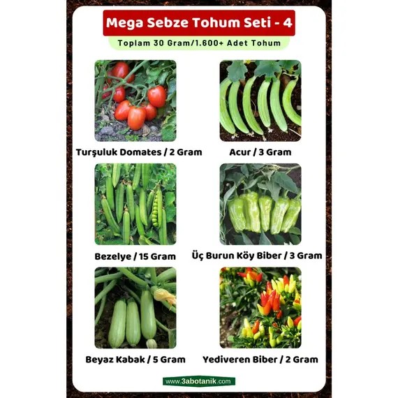 Mega Sebze Tohum Seti - 4- Toplam 30 Gram/1.600 Adet Sebze Tohumu