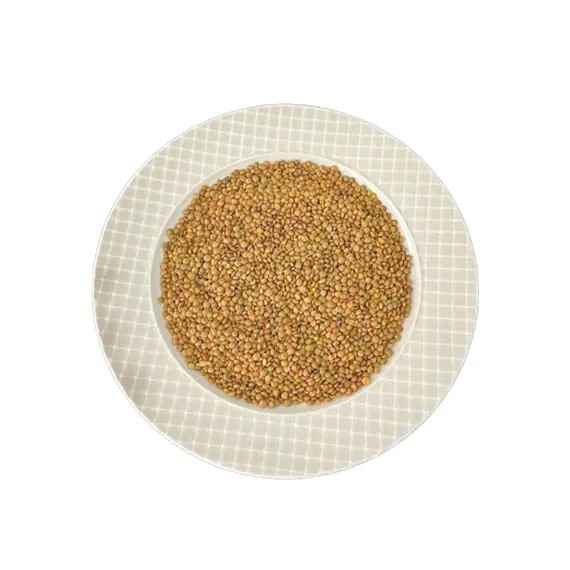 Yeşil Mercimek - 1 KG