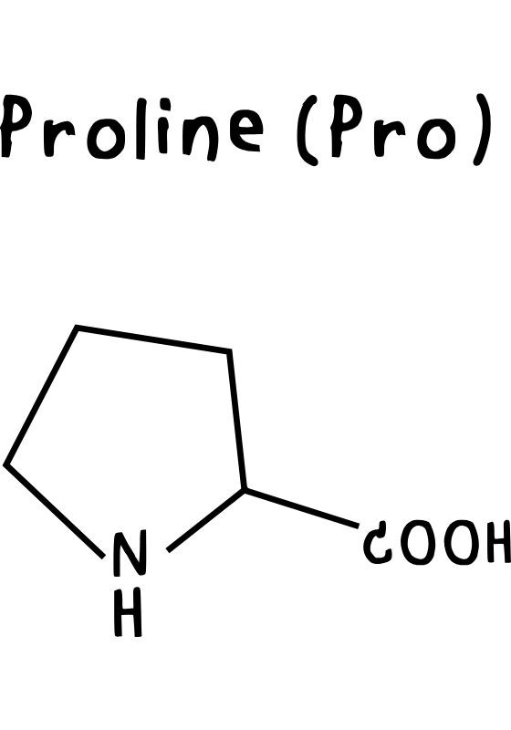Prolin amino asidinin moleküler yapısı ve kimyasal formülü, balın doğal kalitesini gösteren önemli bir bileşen.