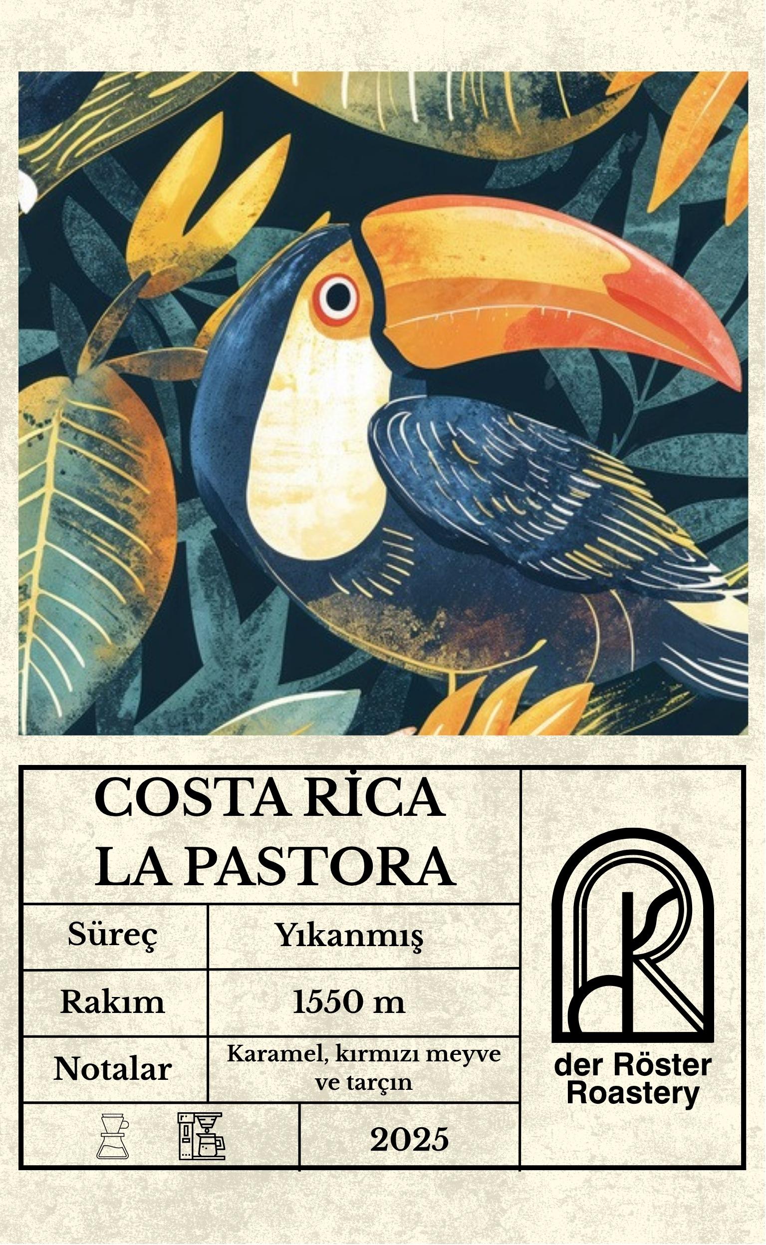 Costa Rica La Pastora Çekirdek Kahve 250 gr. 0 image