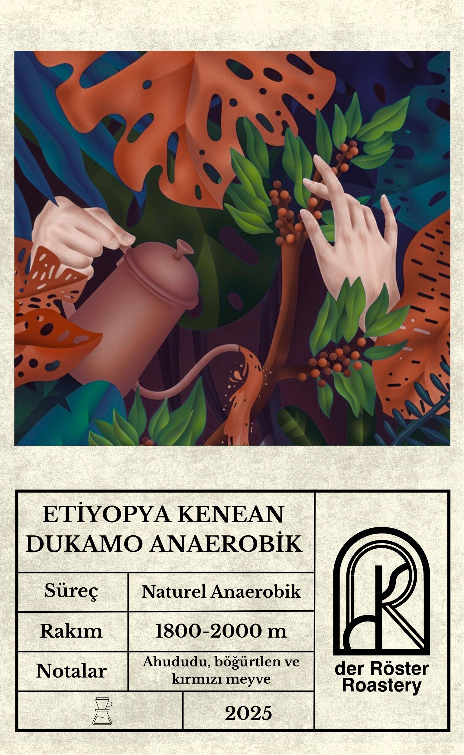 Etiyopya Kenean Dukamo Çekirdek Kahve 250 gr. 0 image