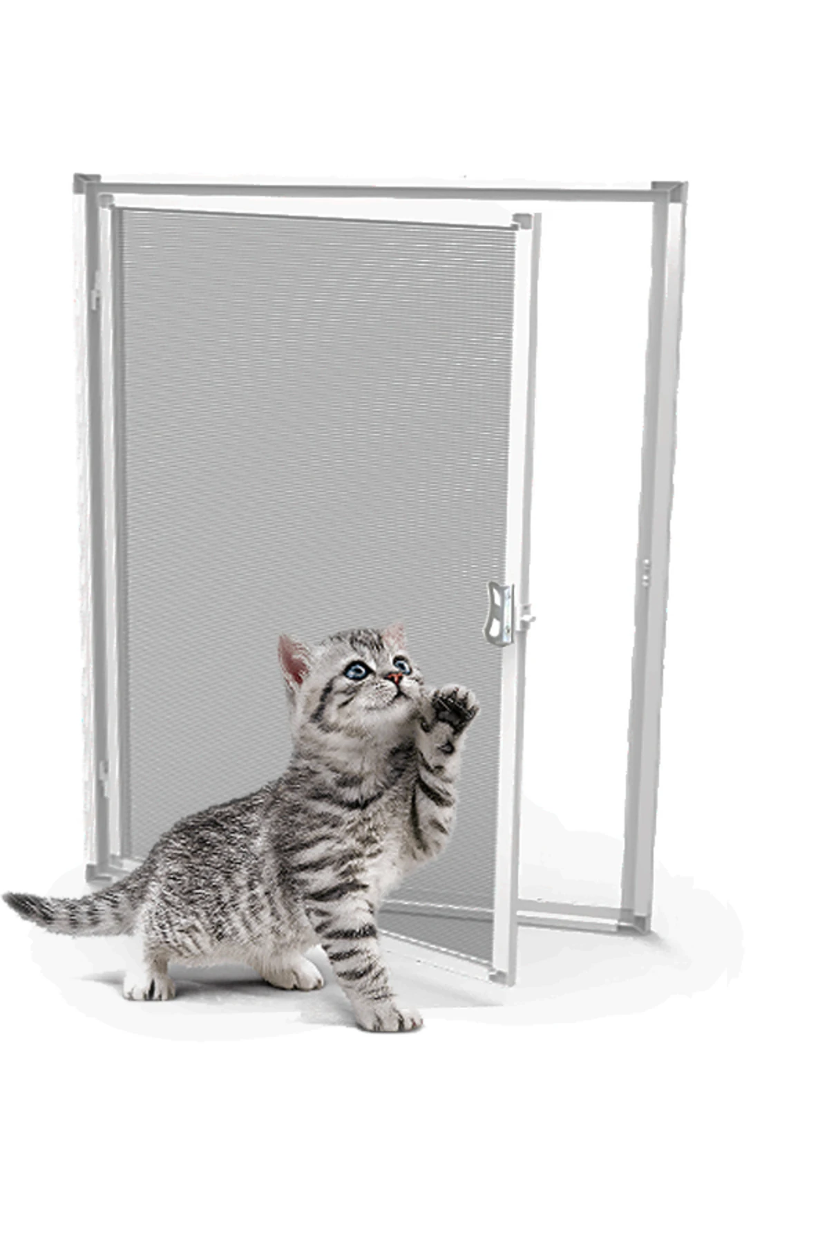 KEDİ Tüllü Menteşeli PENCERE Sinekliği (PET TÜL)70x130 Cm. Özel Ölçü Verebilirsiniz. - Antrasit