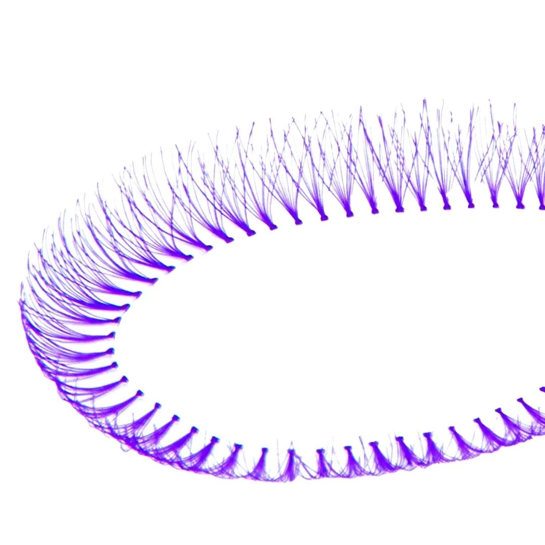 T&Y Renkli İpli Kirpik D Kıvrım 5 İp Mor