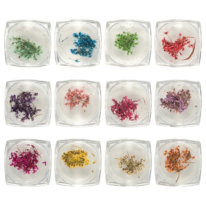 T&Y Nail Art Design , Çok Renkli  Kuru Sakura Çiçeği Tırnak Süsleme , 12 Renk
