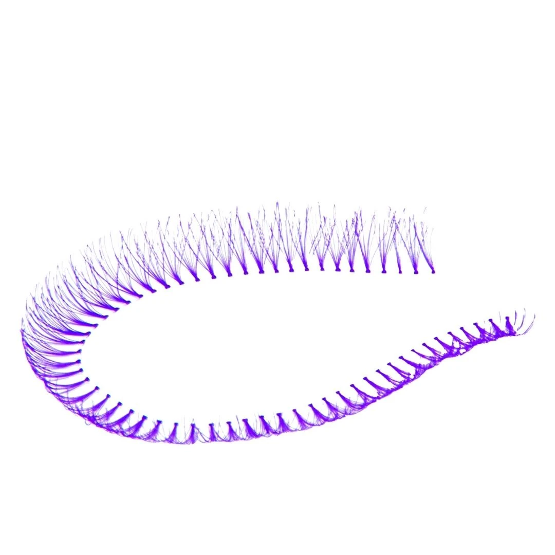 T&Y Renkli İpli Kirpik D Kıvrım 5 İp Mor