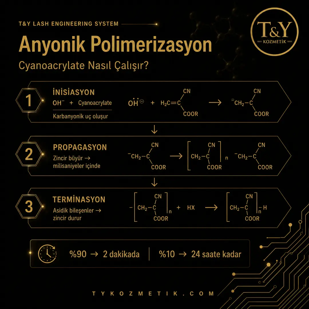 Cyanoacrylate Anyonik Polimerizasyon Mekanizması | T&Y Lash Engineering System