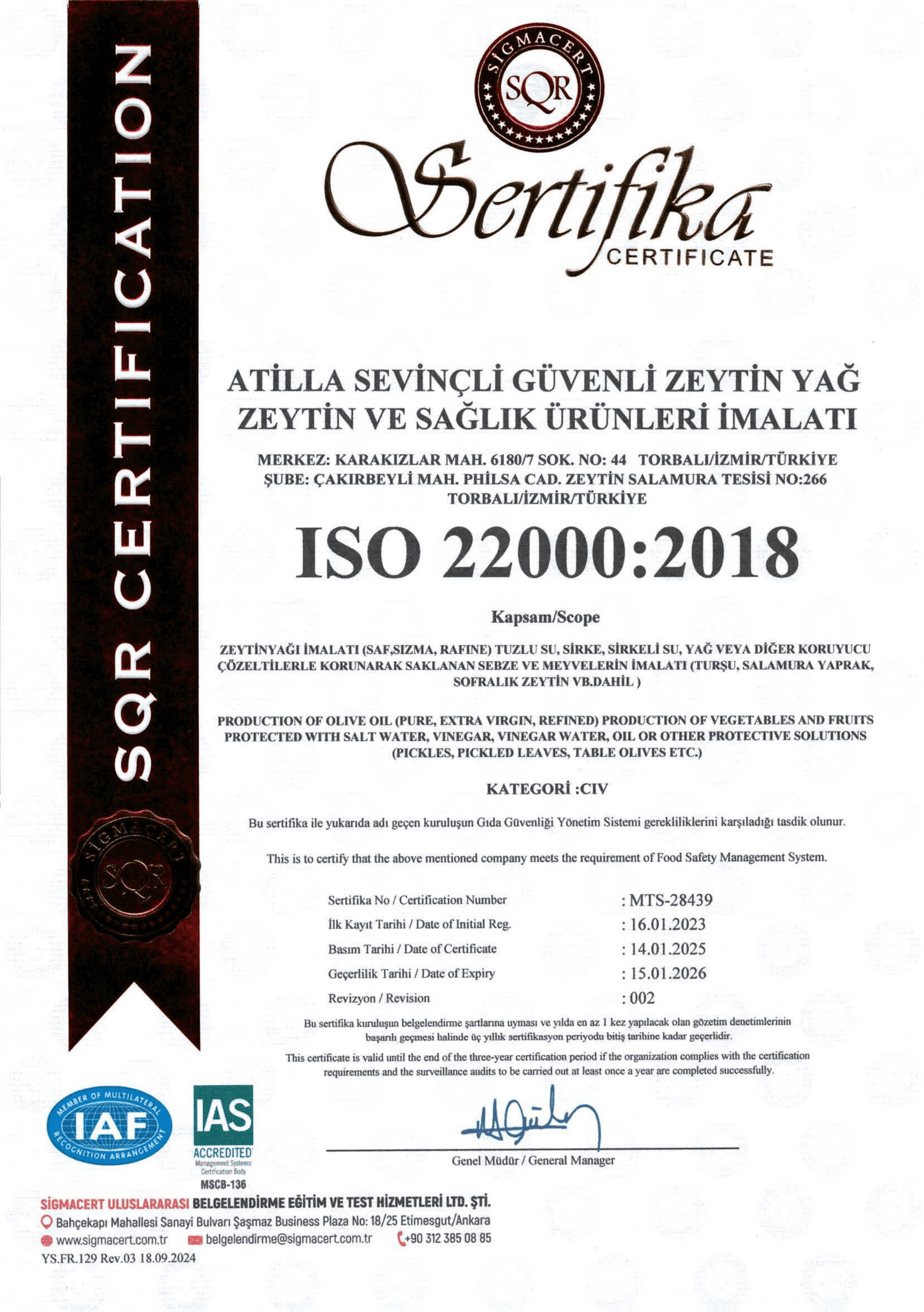 Villa TURQAN Ödüllü 12 Lt Erken Hasat Soğuk Sıkım Memecik Natürel Sızma Zeytinyağı | Tek Bahçe (2024/2025) (3 Litre x 4 Adet)