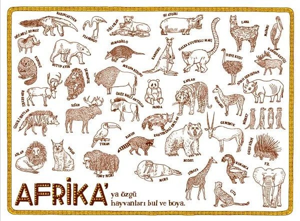 Atlas Etkinlik Kitabı by Aleksandra Mizielinska & Daniel Mizielinski