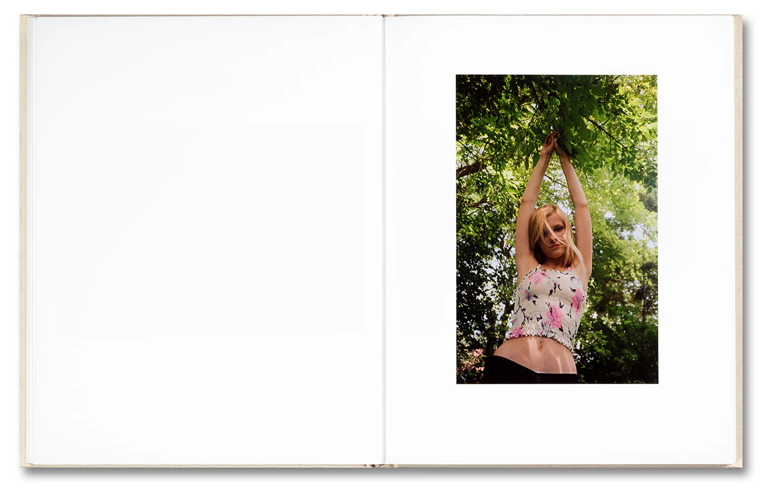 The Virgin Suicides by Sofia Coppola & Corinne Day