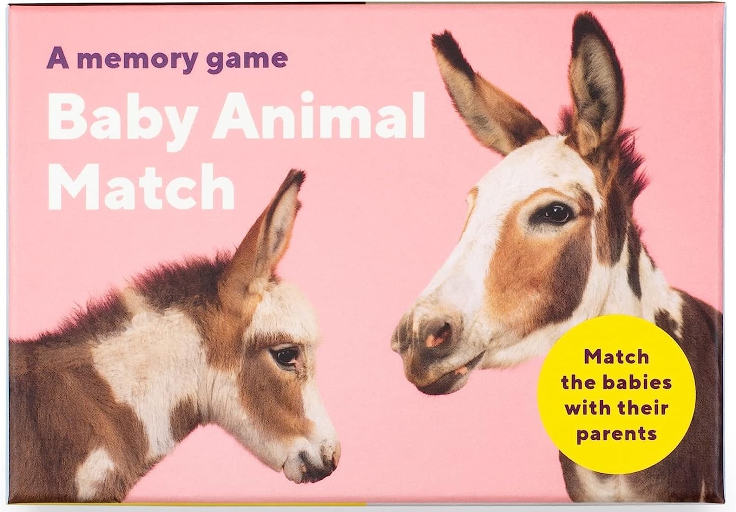 Baby Animal Match: A Memory Game by  Gerrard Gethings