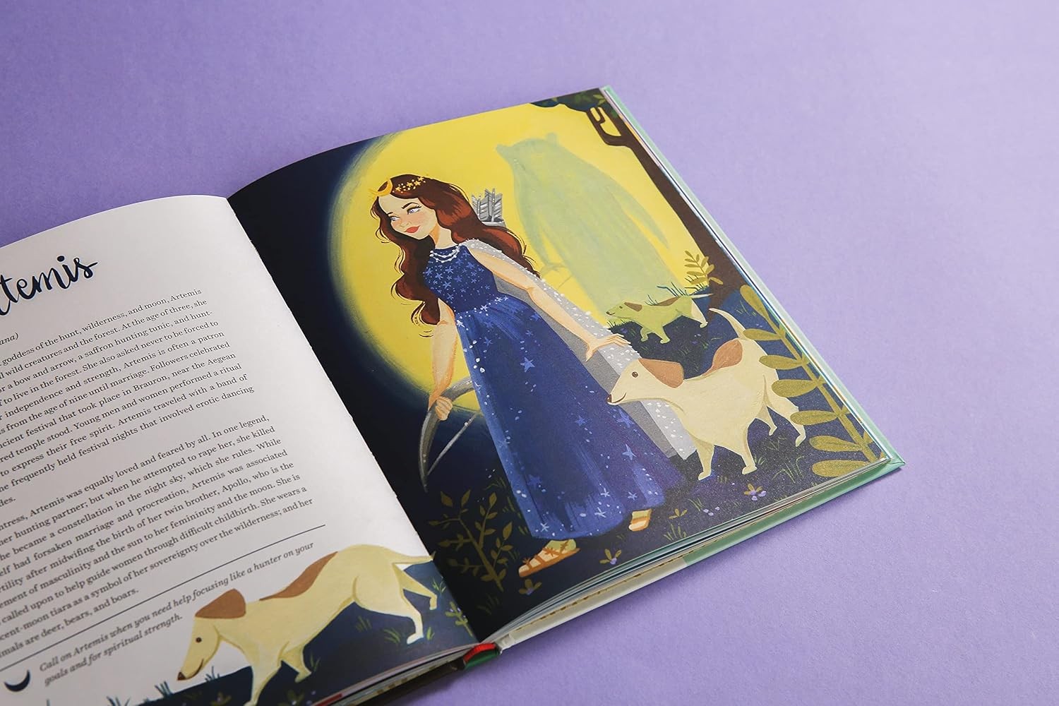 Legendary Ladies: 50 Goddesses to Empower and Inspire You by Ann Shen