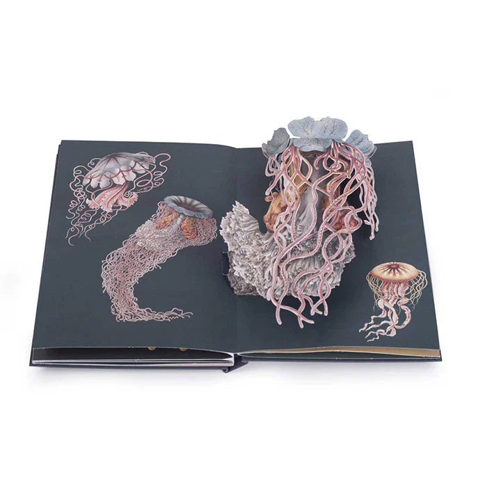 Creatures of the Deep: The Pop-up Book by Ernst Haeckel