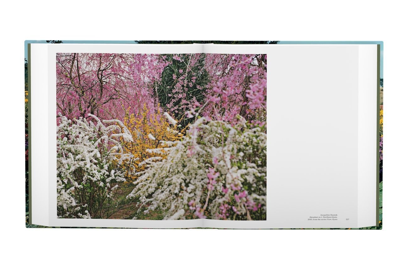 The Photographer in the Garden by Jamie M. Allen & Sarah Anne McNear