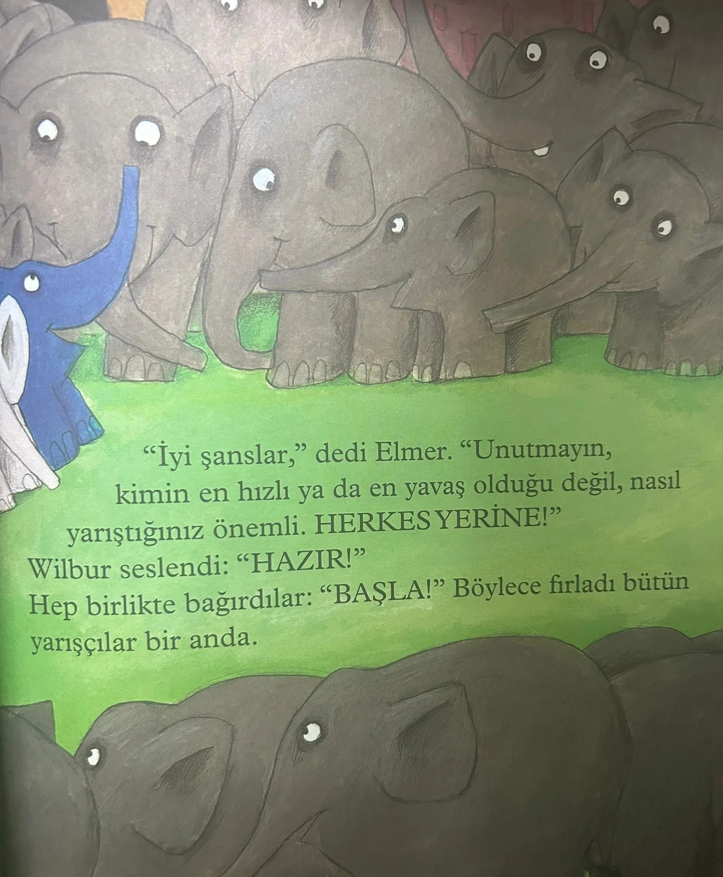 Elmer ve Yarış by David McKee
