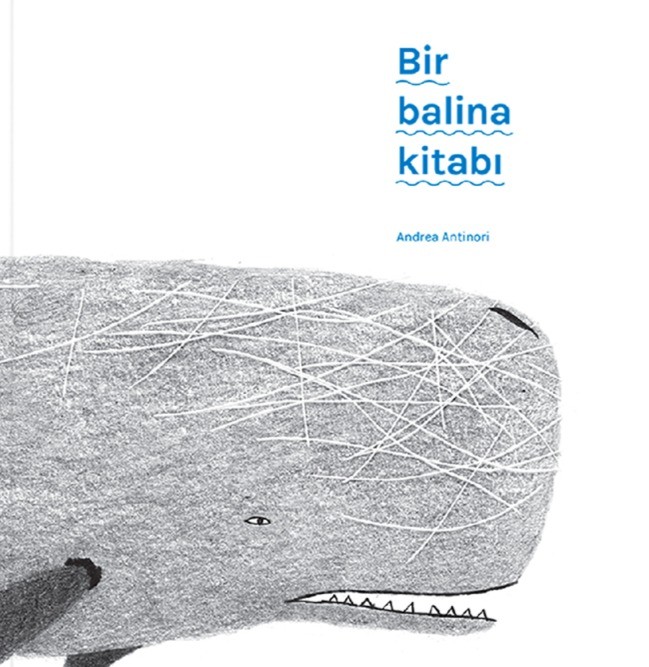 Bir Balina Kitabı by Andrea Antinori