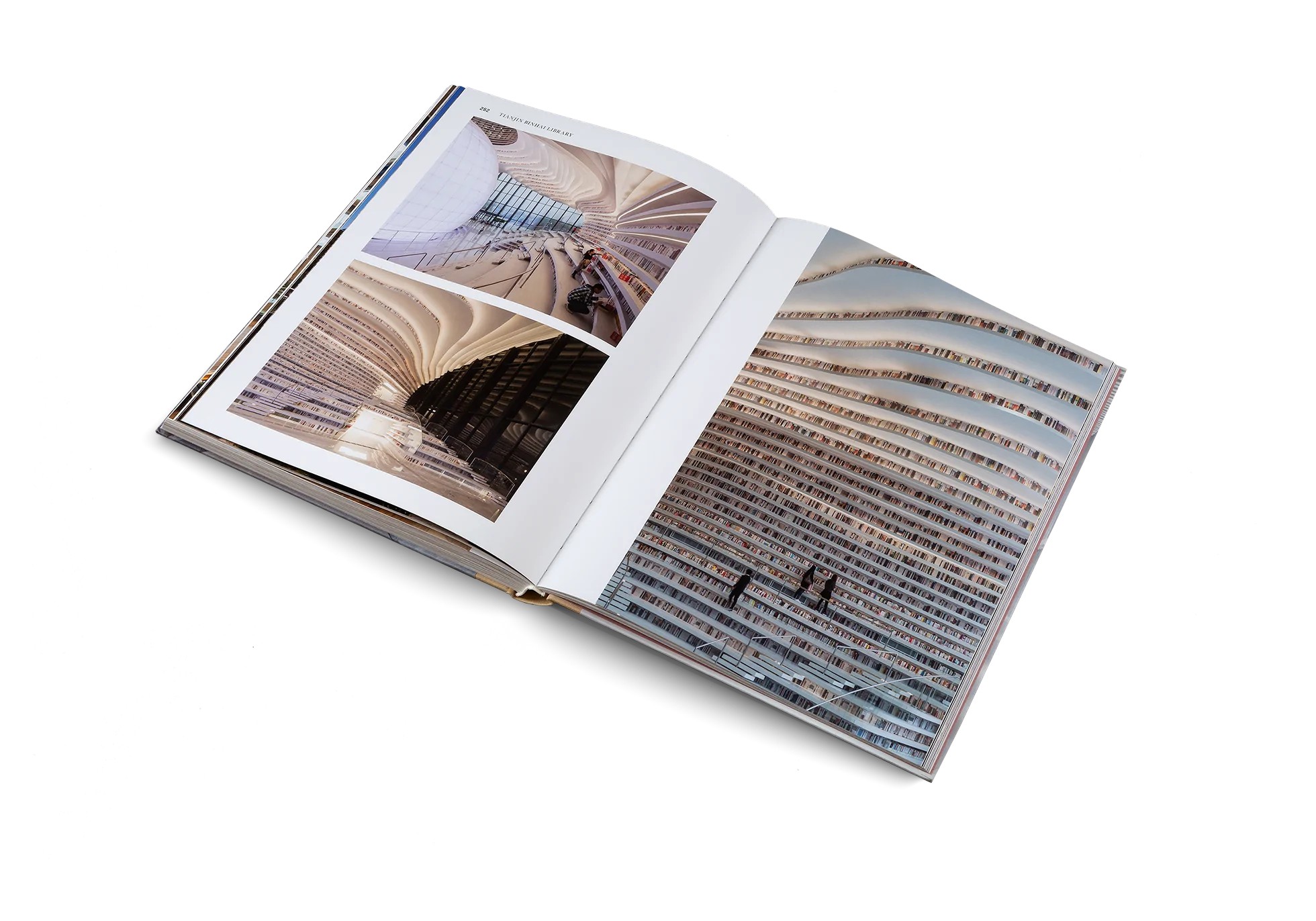 Temples of Books by Marianne Julia Strauss
