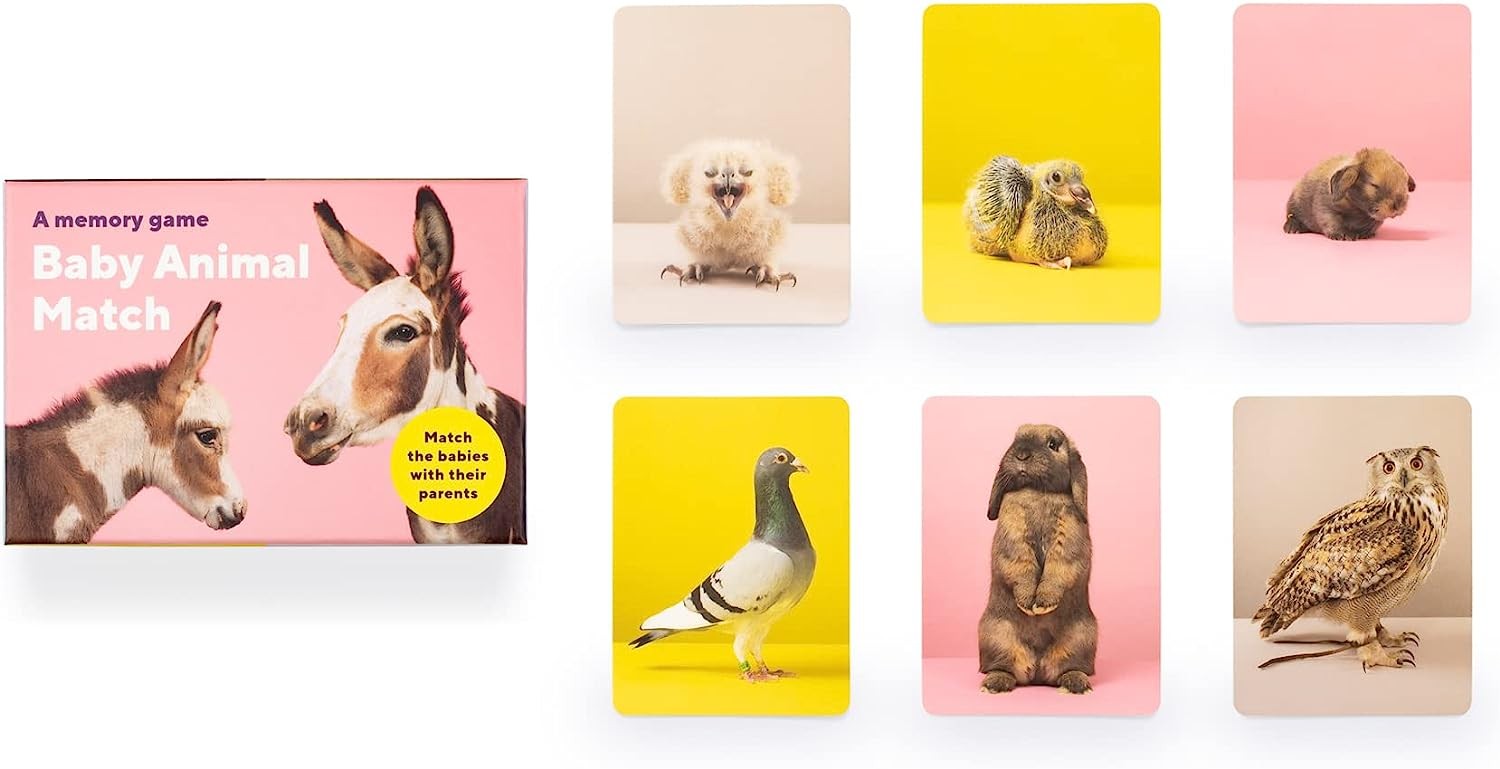 Baby Animal Match: A Memory Game by  Gerrard Gethings