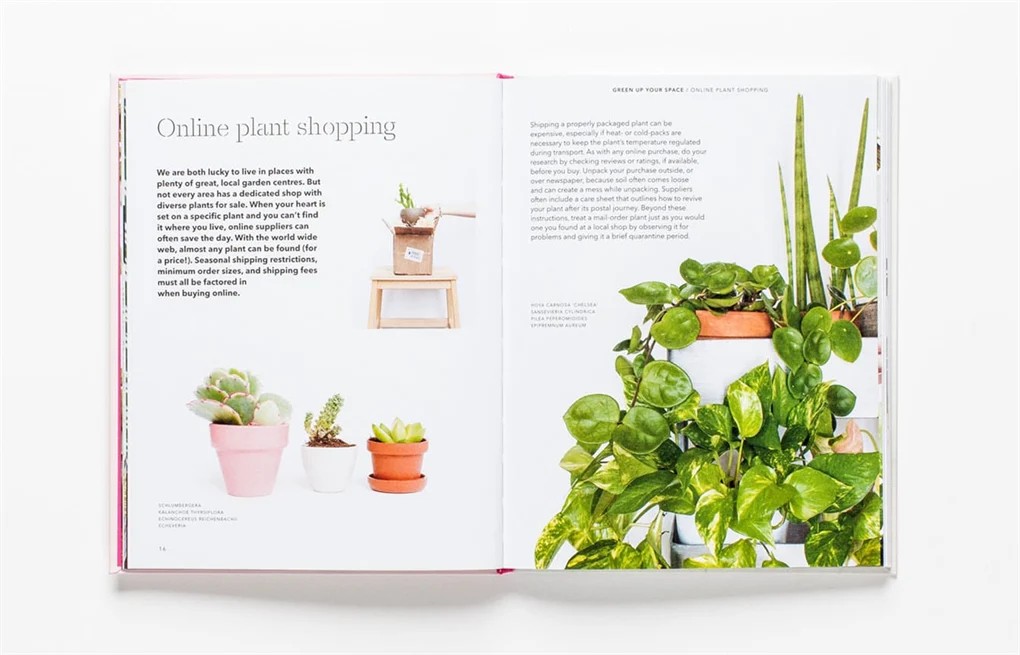 How to Raise a Plant and Make It Love You Back 