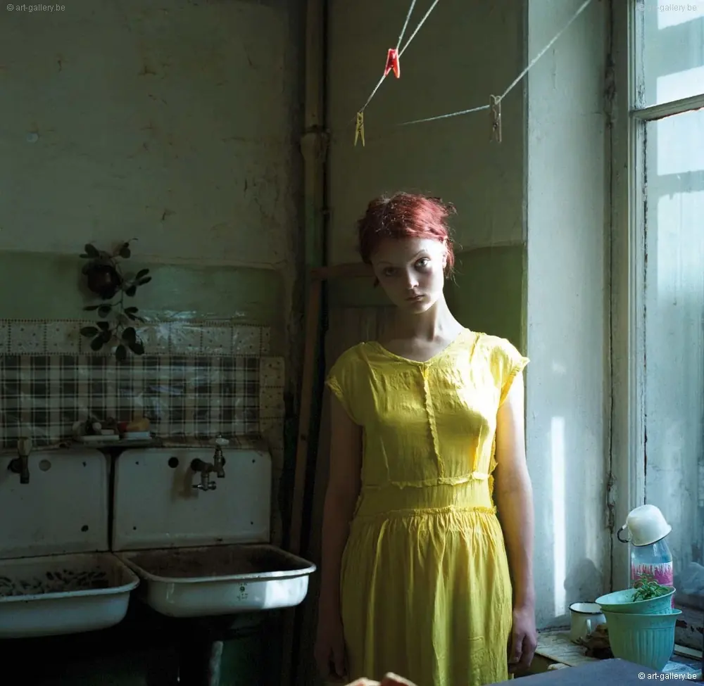 Tout Va Disparaître by Hellen Van Meene