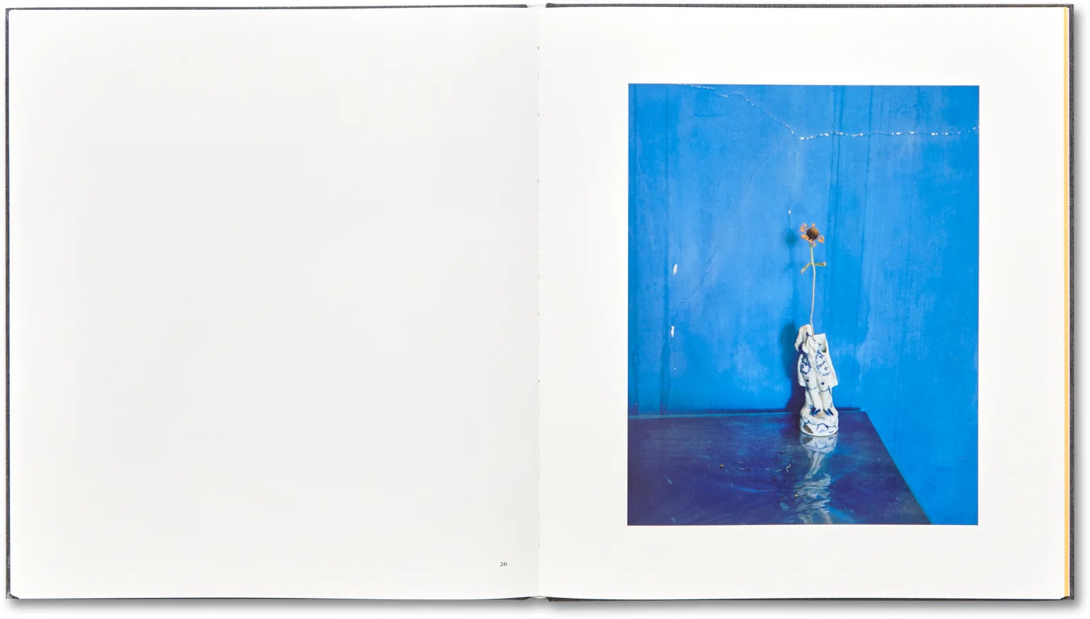 I Know How Furiously Your Heart Is Beating by Alec Soth