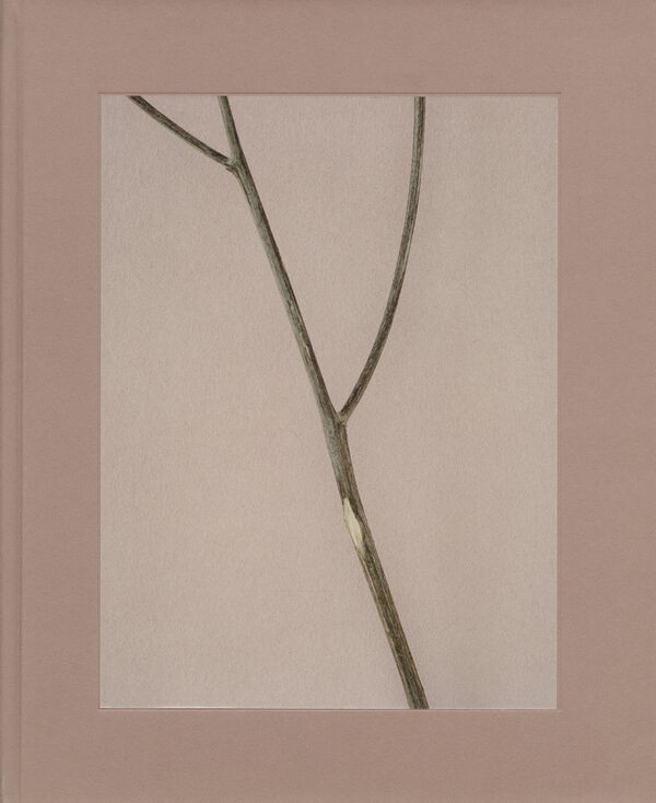 Belongs to Joe: Book of Comfort for a Nymphomaniac by Casper Sejersen