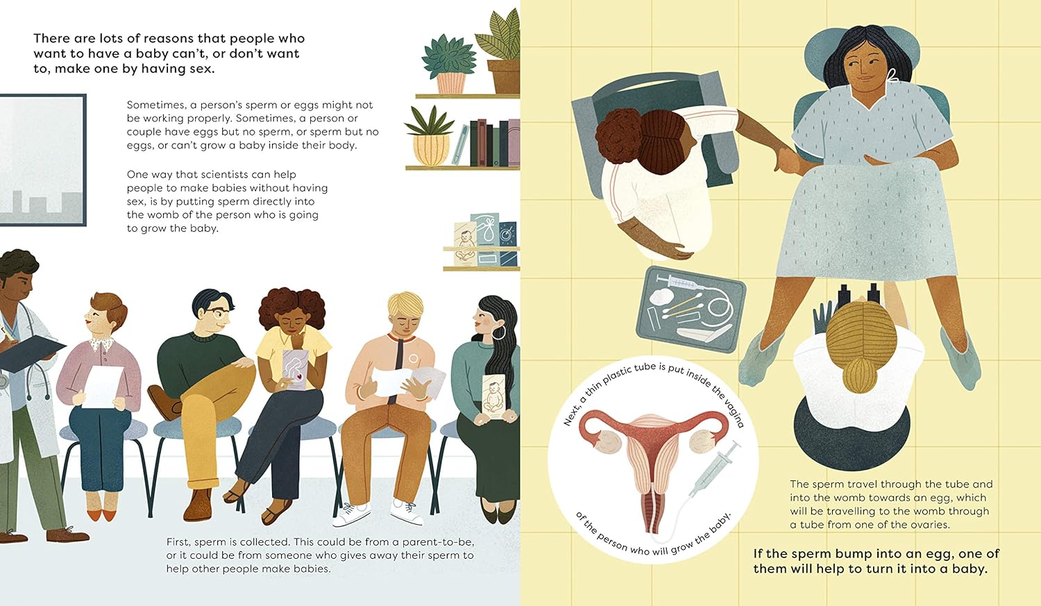 Making A Baby: An Inclusive Guide to How Every Family Begins By Rachel Greener & Clare Owen
