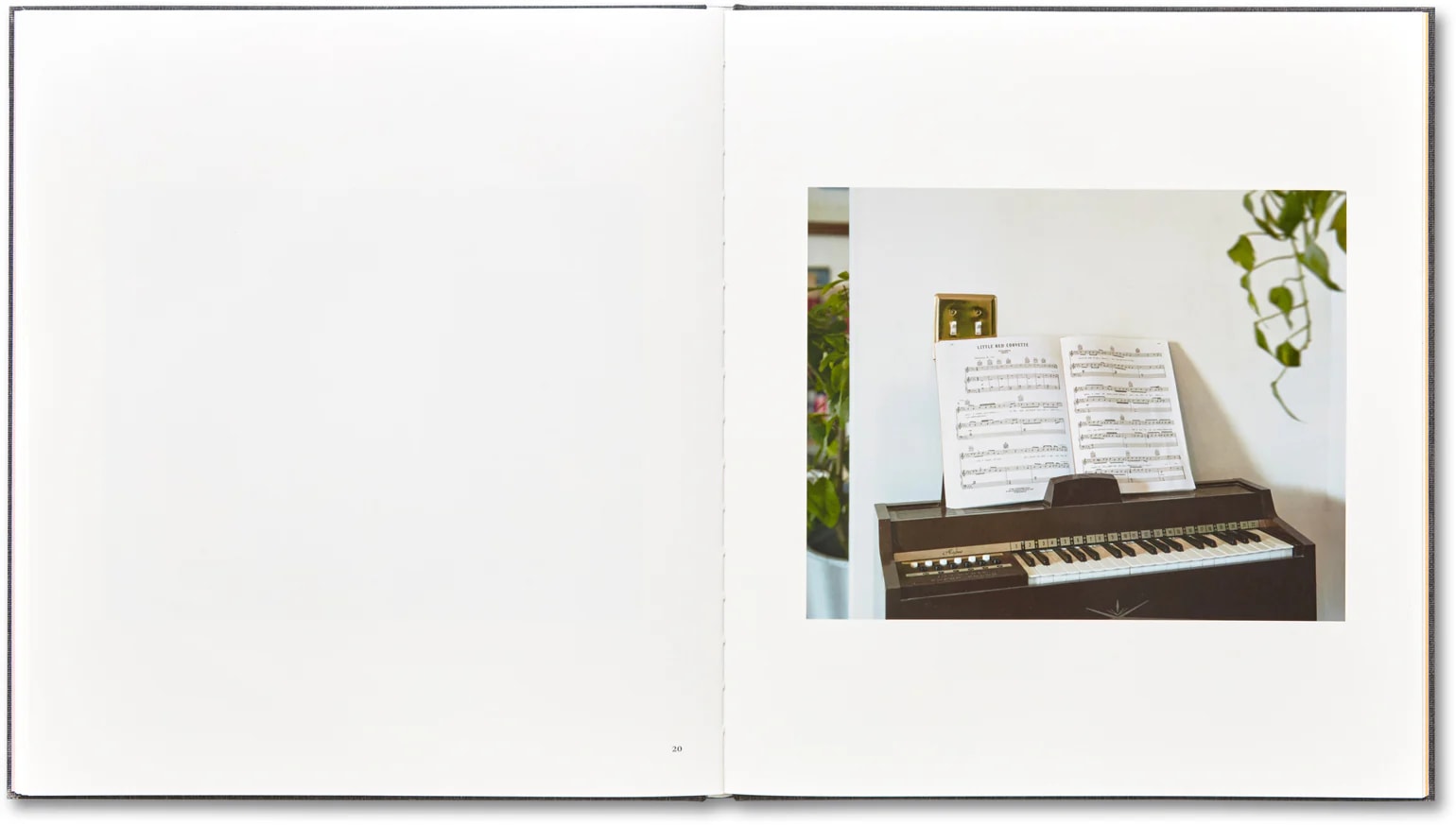 I Know How Furiously Your Heart Is Beating by Alec Soth