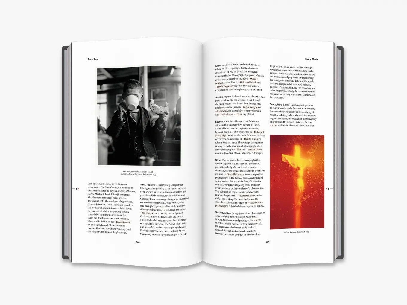 The Thames & Hudson Dictionary of Photography Hardcover by Nathalie Herschdorfer