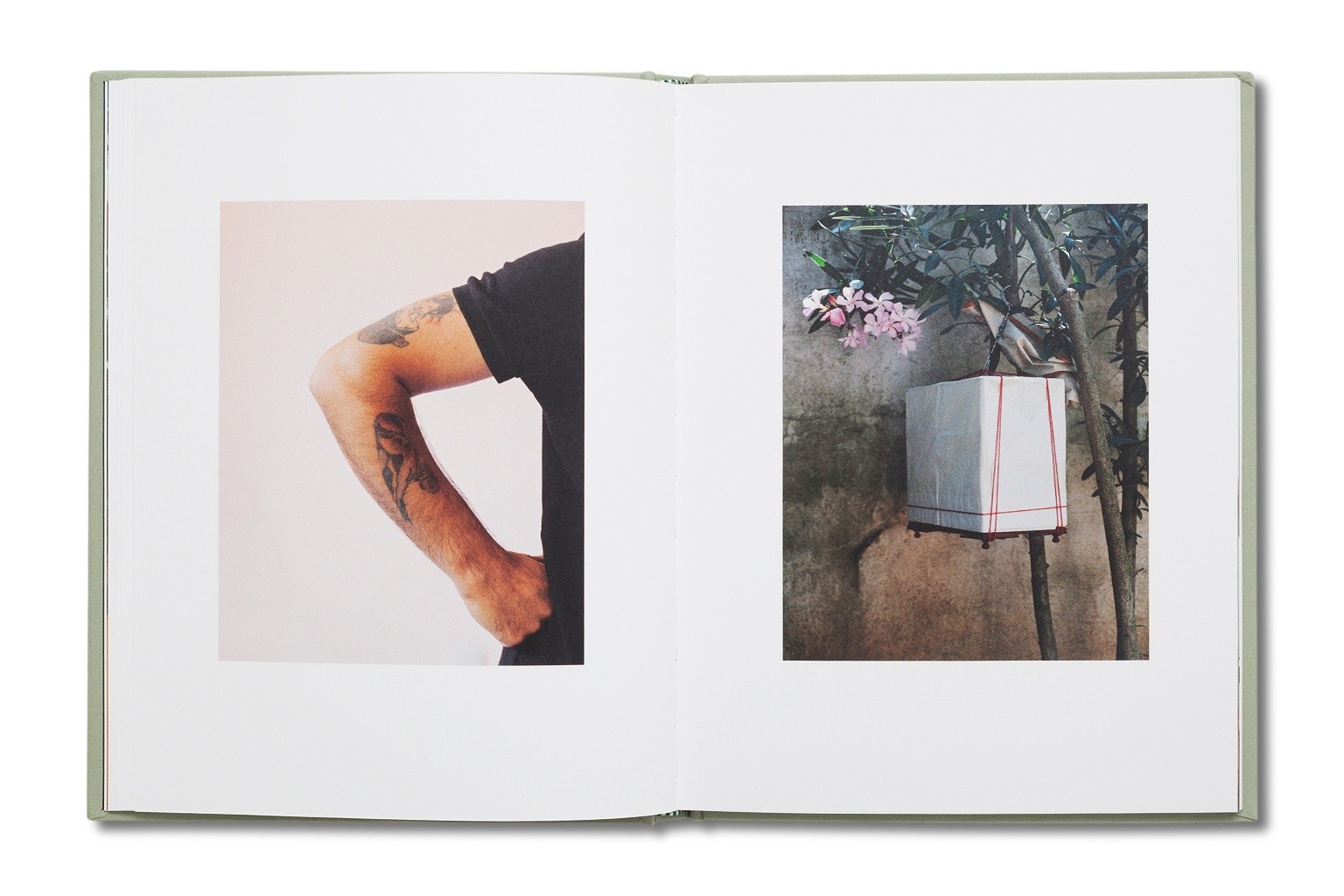 For Birds' Sake by Cemre Yeşil Gönenli & Maria Sturm