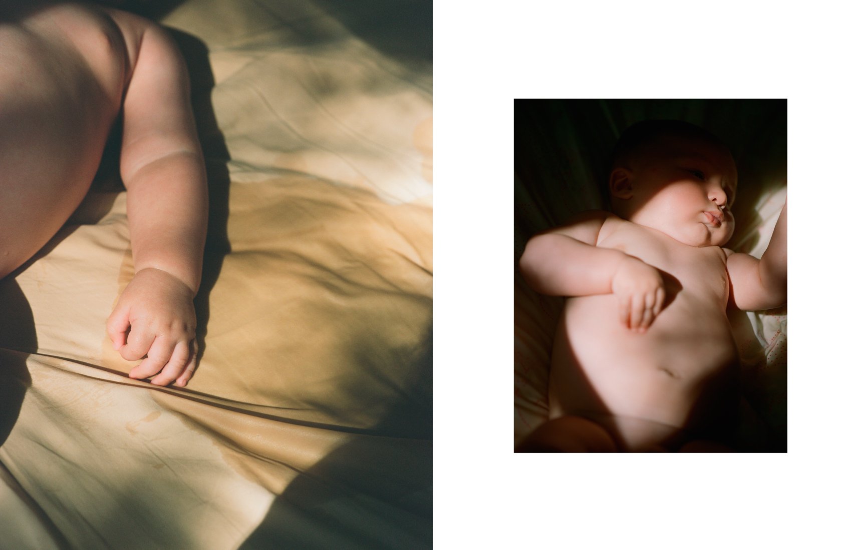 A Study on Folds by Carlotta Manaigo