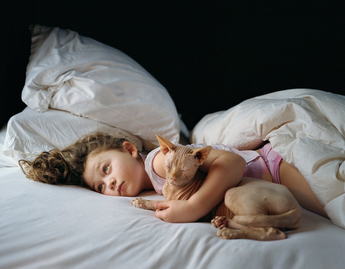 Amelia & the Animals by Robin Schwartz