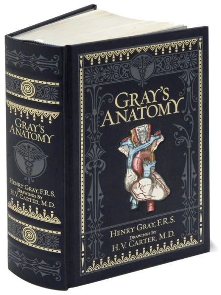 Gray's Anatomy by Henry Gray
