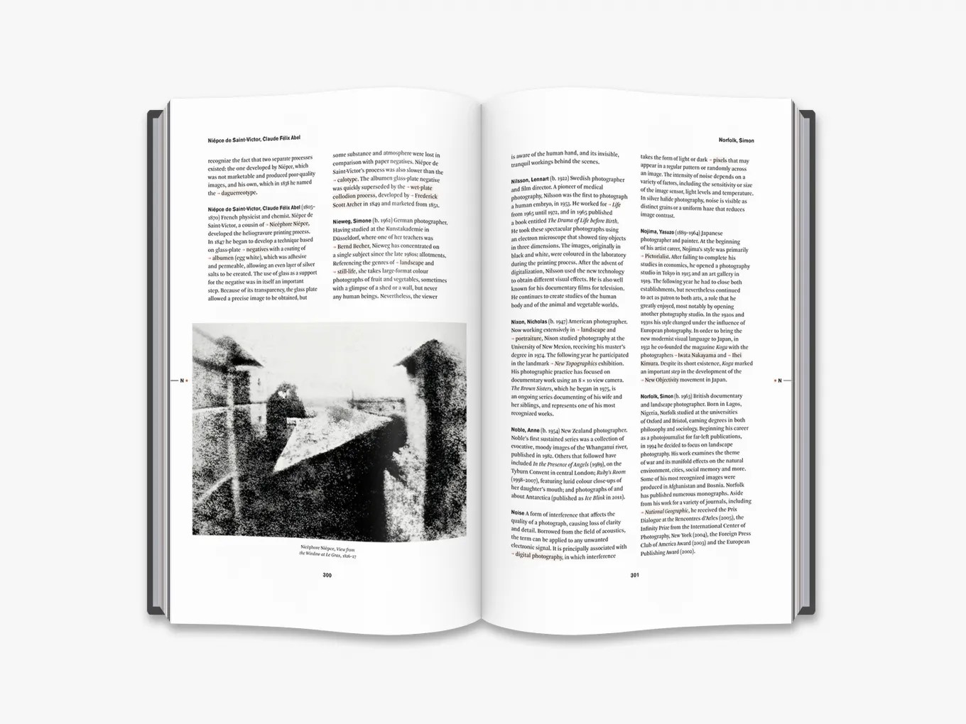 The Thames & Hudson Dictionary of Photography Hardcover by Nathalie Herschdorfer