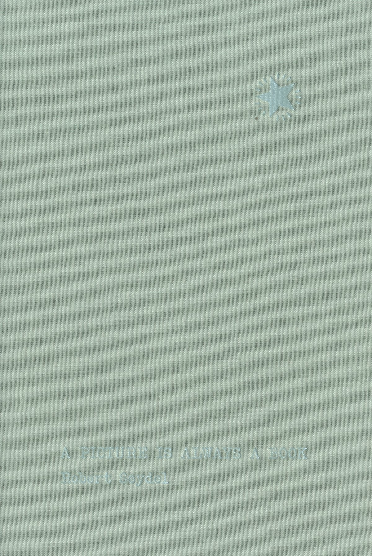 A Picture Is Always a Book: Further Writings from Book of Ruth by Robert Seydel