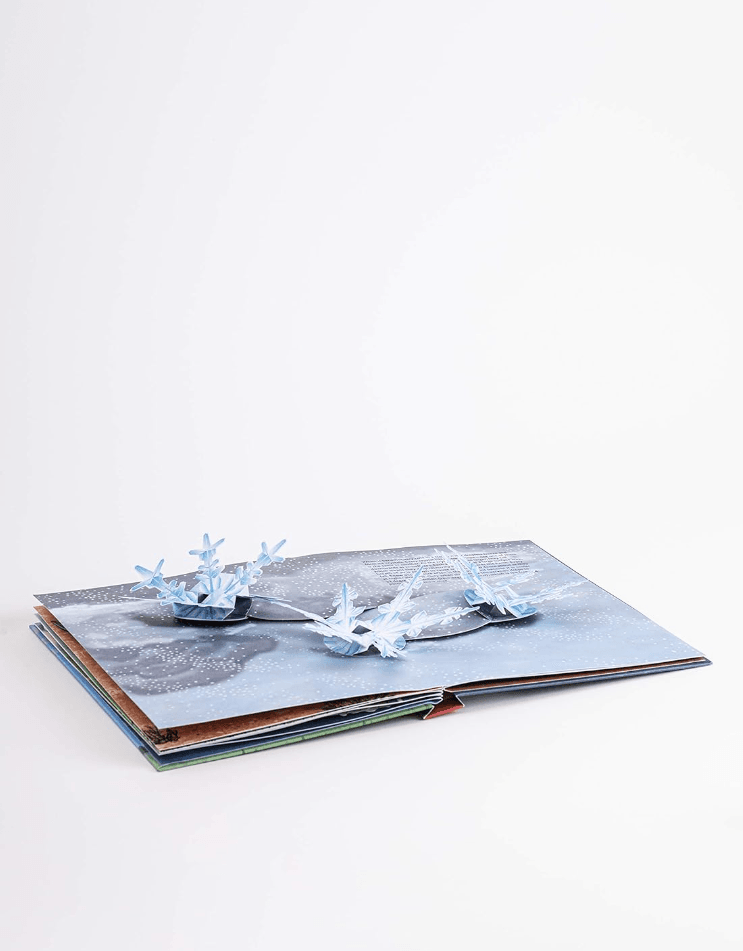 The Weather: Pop-up Book by Maike Biederstadt