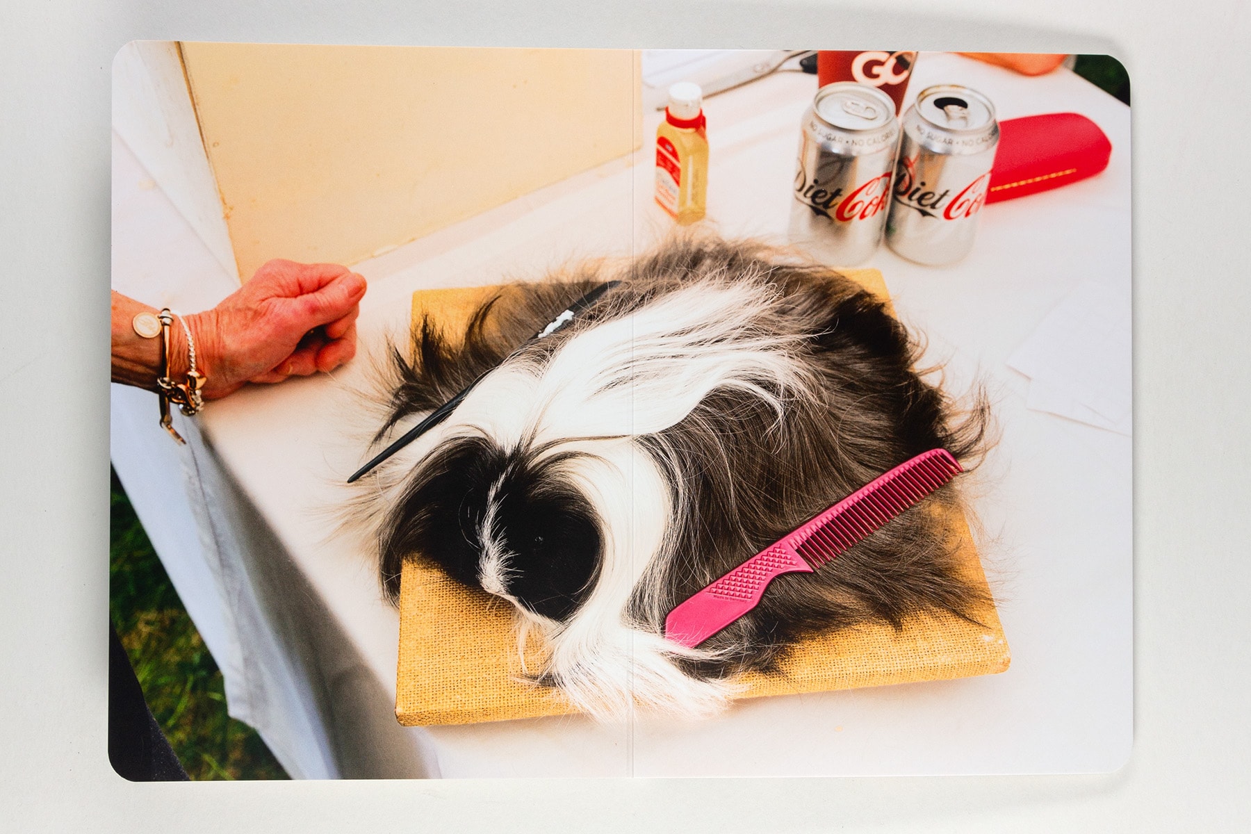 Animals by Martin Parr