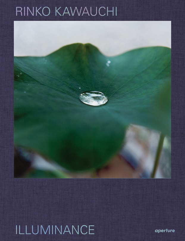 Illuminance by Rinko Kawauchi 