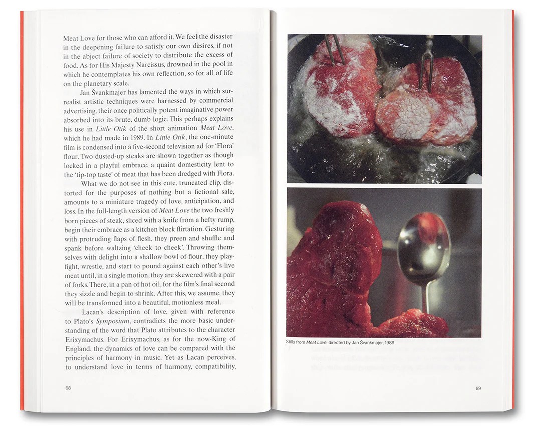 Meat Love: An Ideology of the Flesh by Amber Husain
