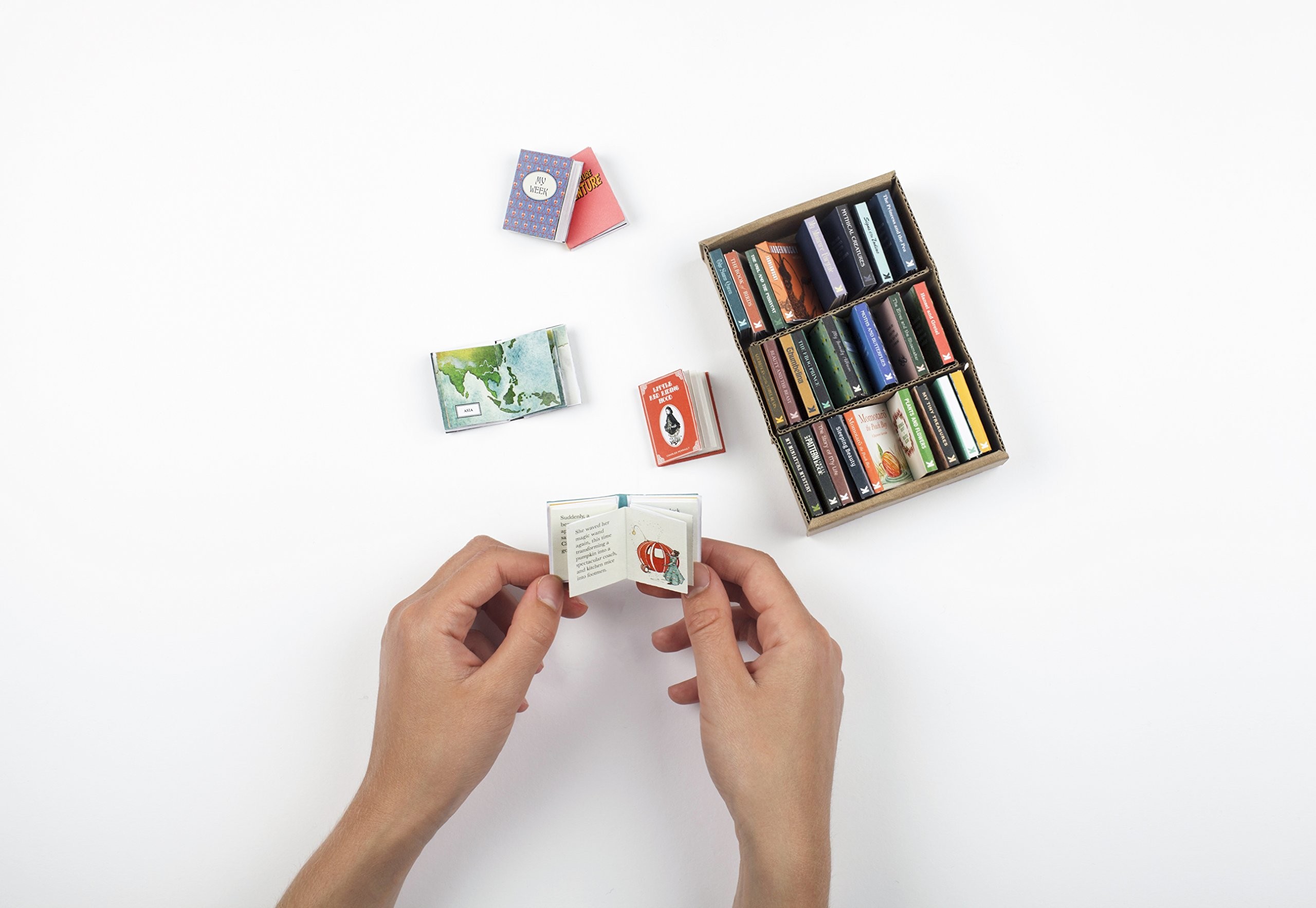 My Miniature Library: 30 Tiny Books to Make, Read (...) by Daniela Terrazzini