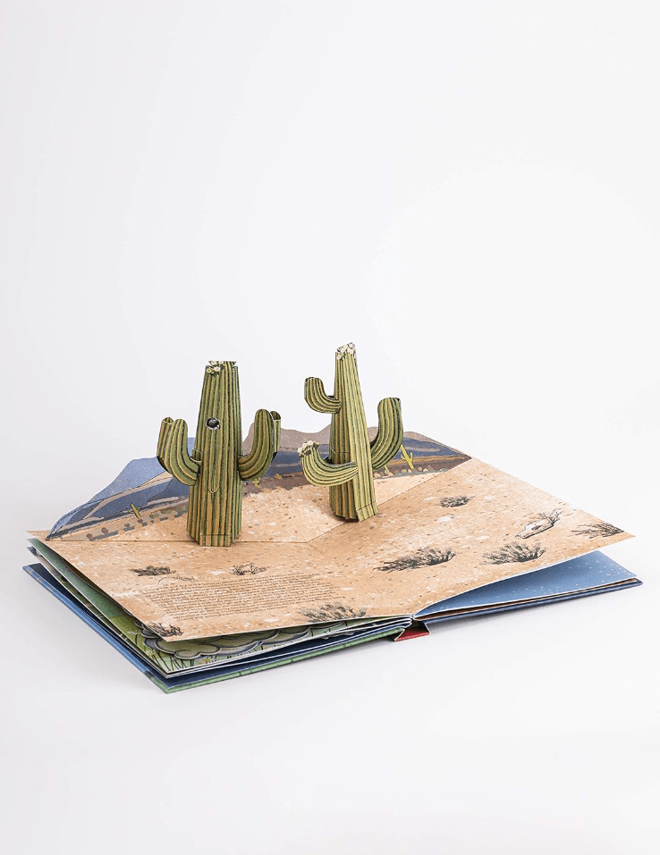 The Weather: Pop-up Book by Maike Biederstadt