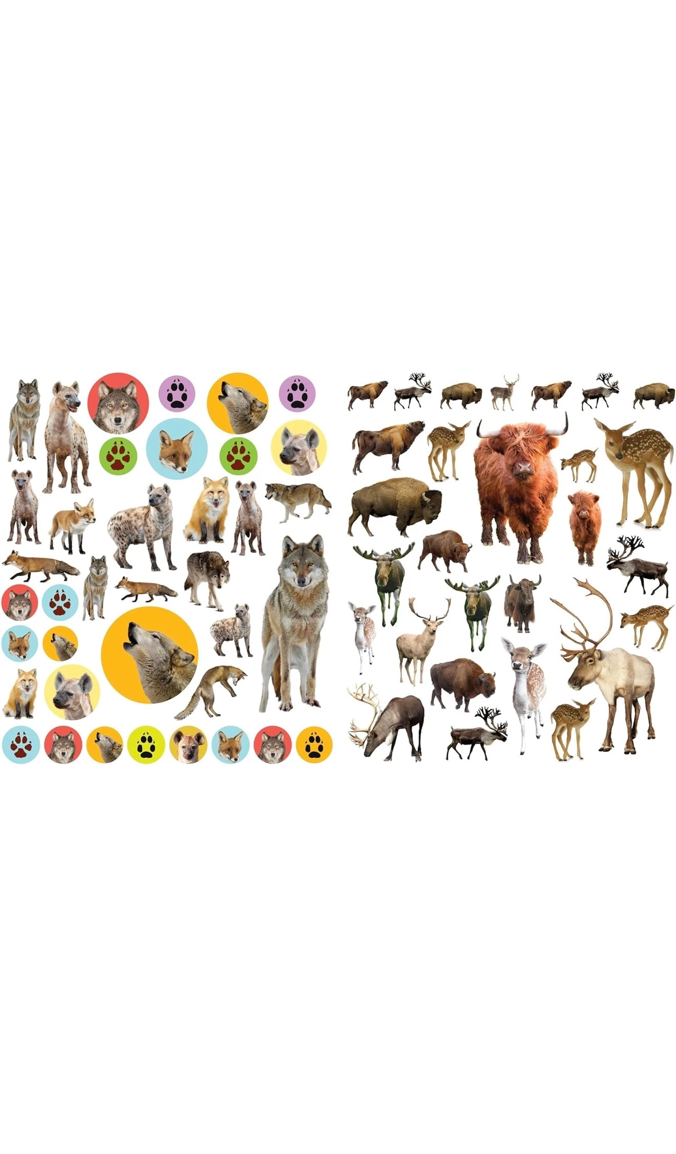 Reusable Sticker Animal Eye Like: Wild Animals 400 Reusable Stickers Inspired by Nature