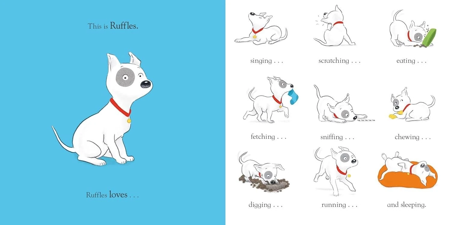 Ruffles and the Lost Bouncy Ball by David Melling