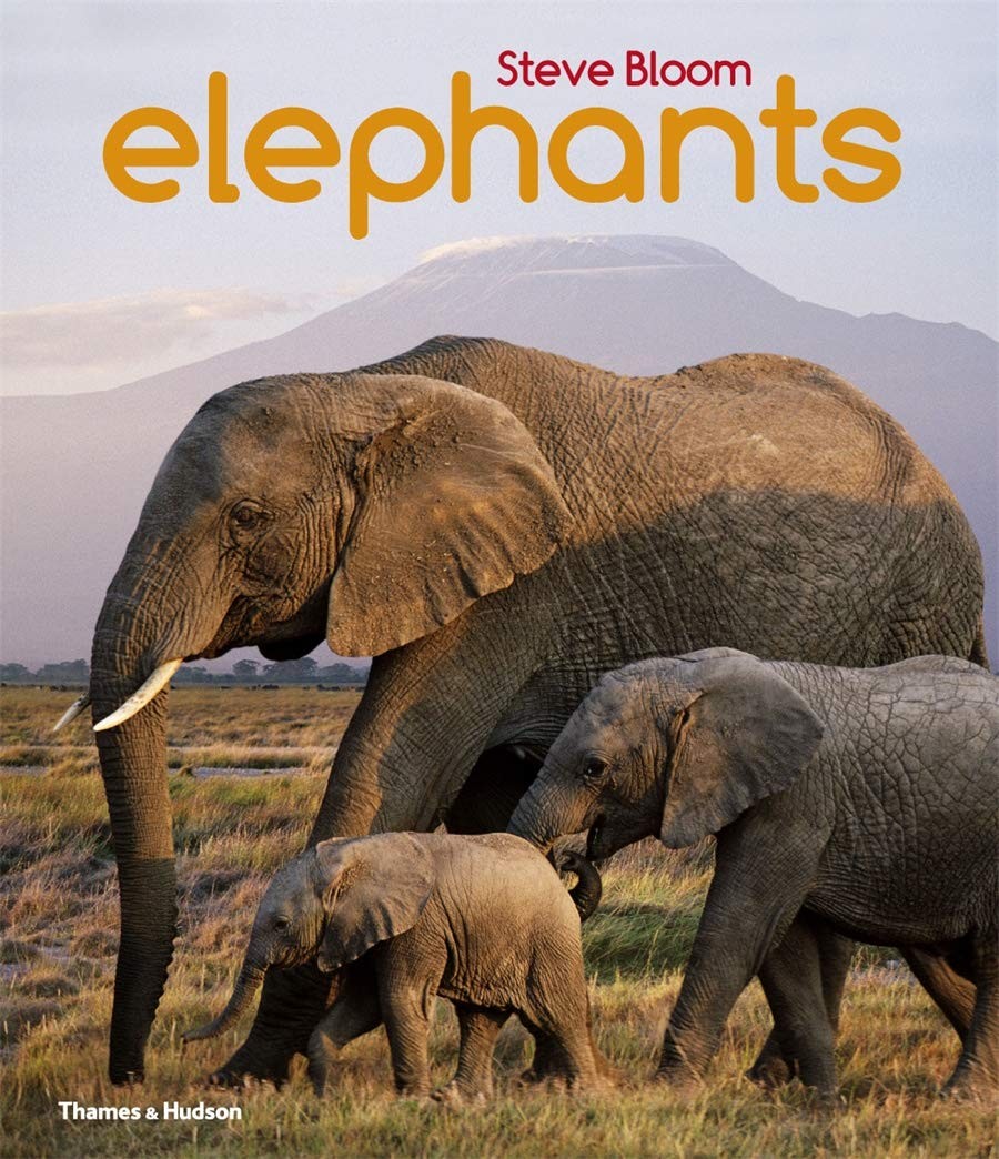 Elephants: A Book for Children by Steve Bloom